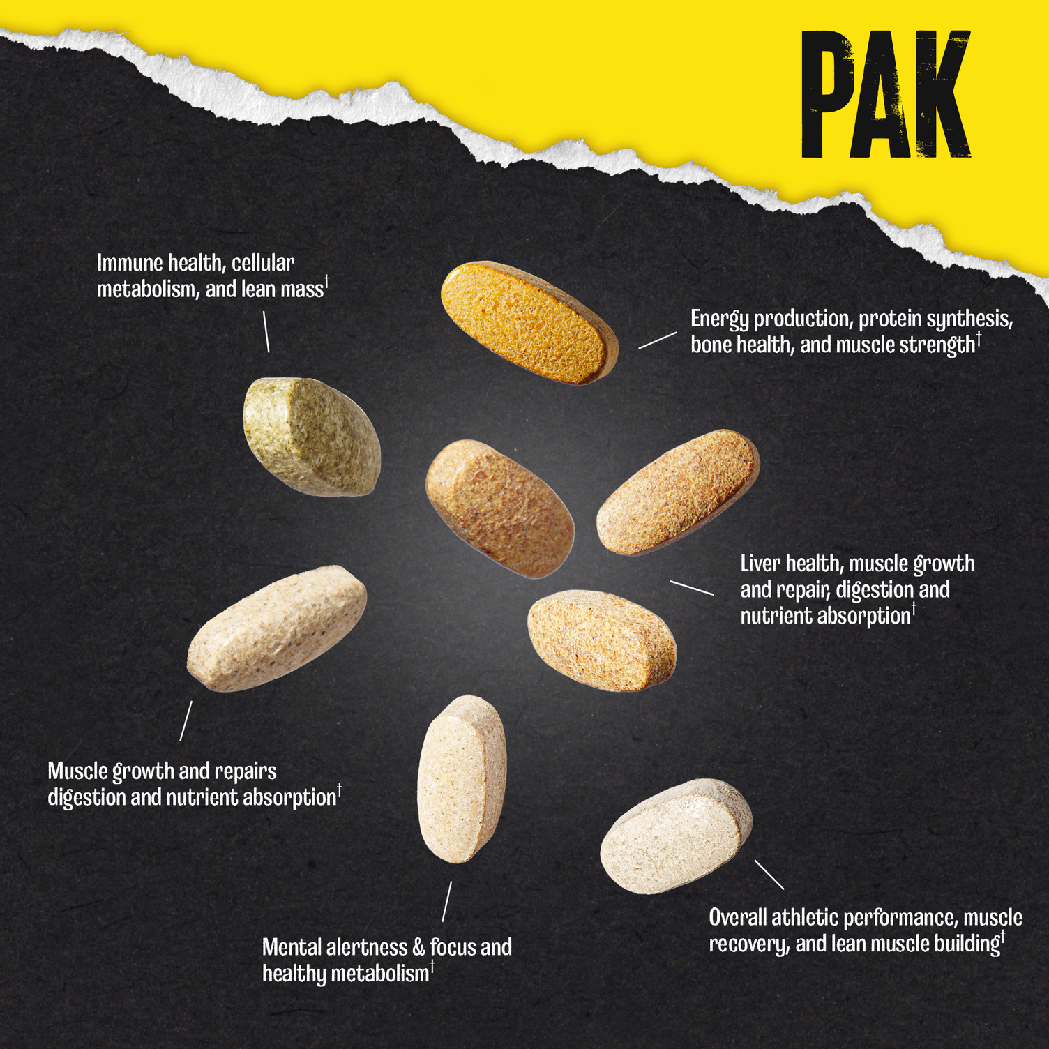 Universal Nutrition Animal Pak 44 Packs - Image 5