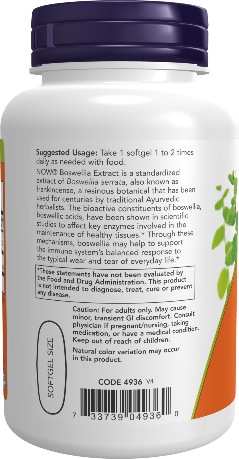4936 Boswellia Extract side