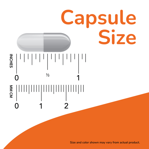 NOW Foods Double Strength Alpha GPC 600mg 60 Caps - Image 2